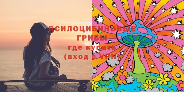 дурь Надым