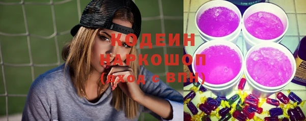 дурь Надым